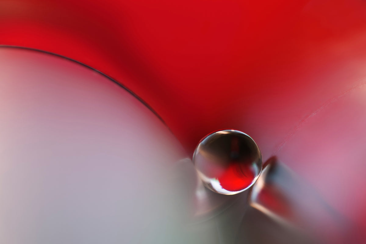 photo-wallpaper-between-x