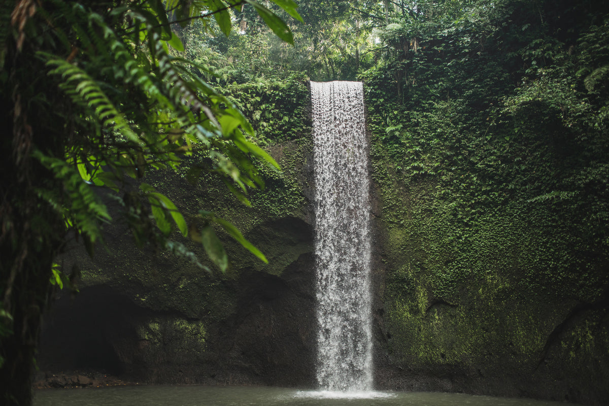 photo-wallpaper-slender-jungle-waterfall-over-a-moss-green-rock-face