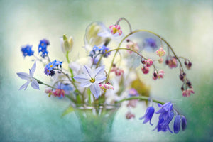 photo-wallpaper-spring-treasures-x