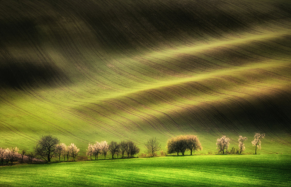 photo-wallpaper-sunlit-spring-hills