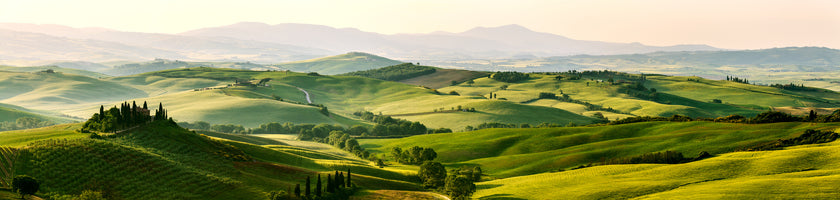 photo-wallpaper-beautiful-and-miraculous-colors-of-green-spring-panorama-landsca