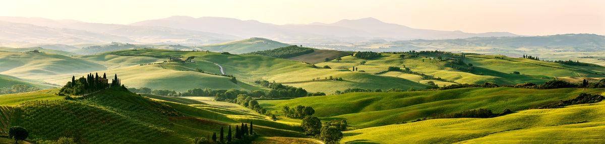 photo-wallpaper-beautiful-and-miraculous-colors-of-green-spring-panorama-landsca