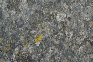 photo-wallpaper-weathered-stone-lichen