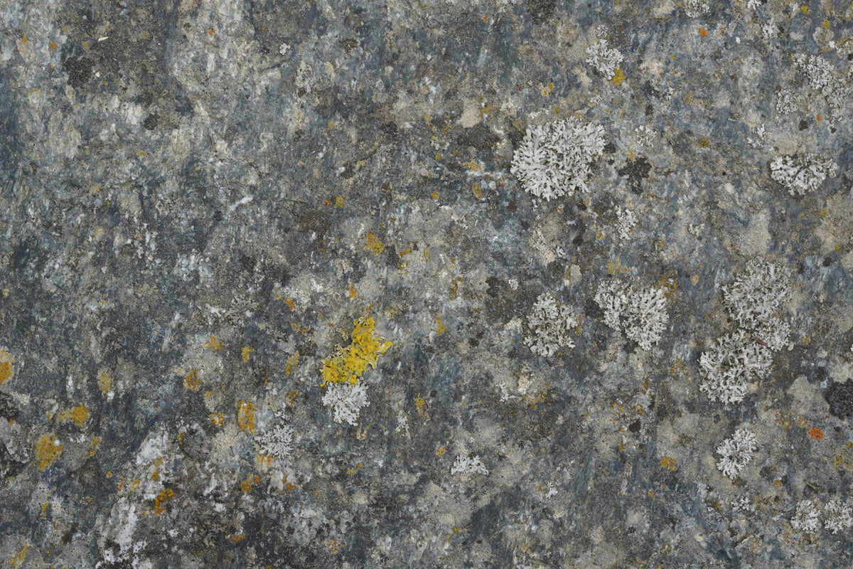 photo-wallpaper-weathered-stone-lichen