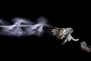 photo-wallpaper-back-to-the-future