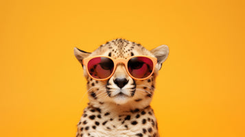 photo-wallpaper-cheetah-in-sunglasses-creative-animal-concept