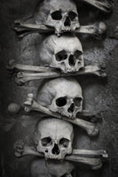 photo-wallpaper-skulls
