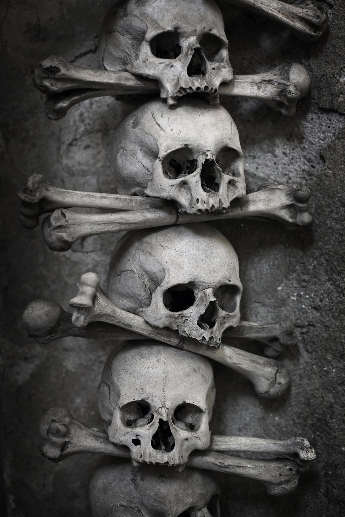 photo-wallpaper-skulls