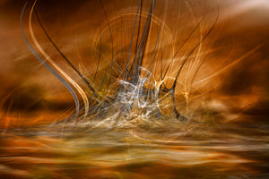 photo-wallpaper-the-rising-x