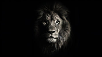 photo-wallpaper-portrait-of-a-beautiful-lion-lion-at-the-waterhole