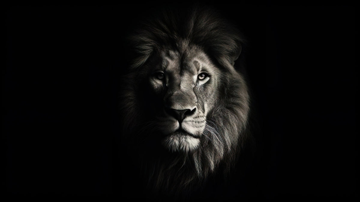 photo-wallpaper-portrait-of-a-beautiful-lion-lion-at-the-waterhole