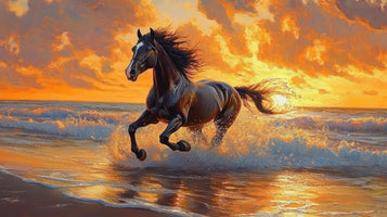 photo-wallpaper-black-horse-galloping-through-the-surf-in-golden-evening-light