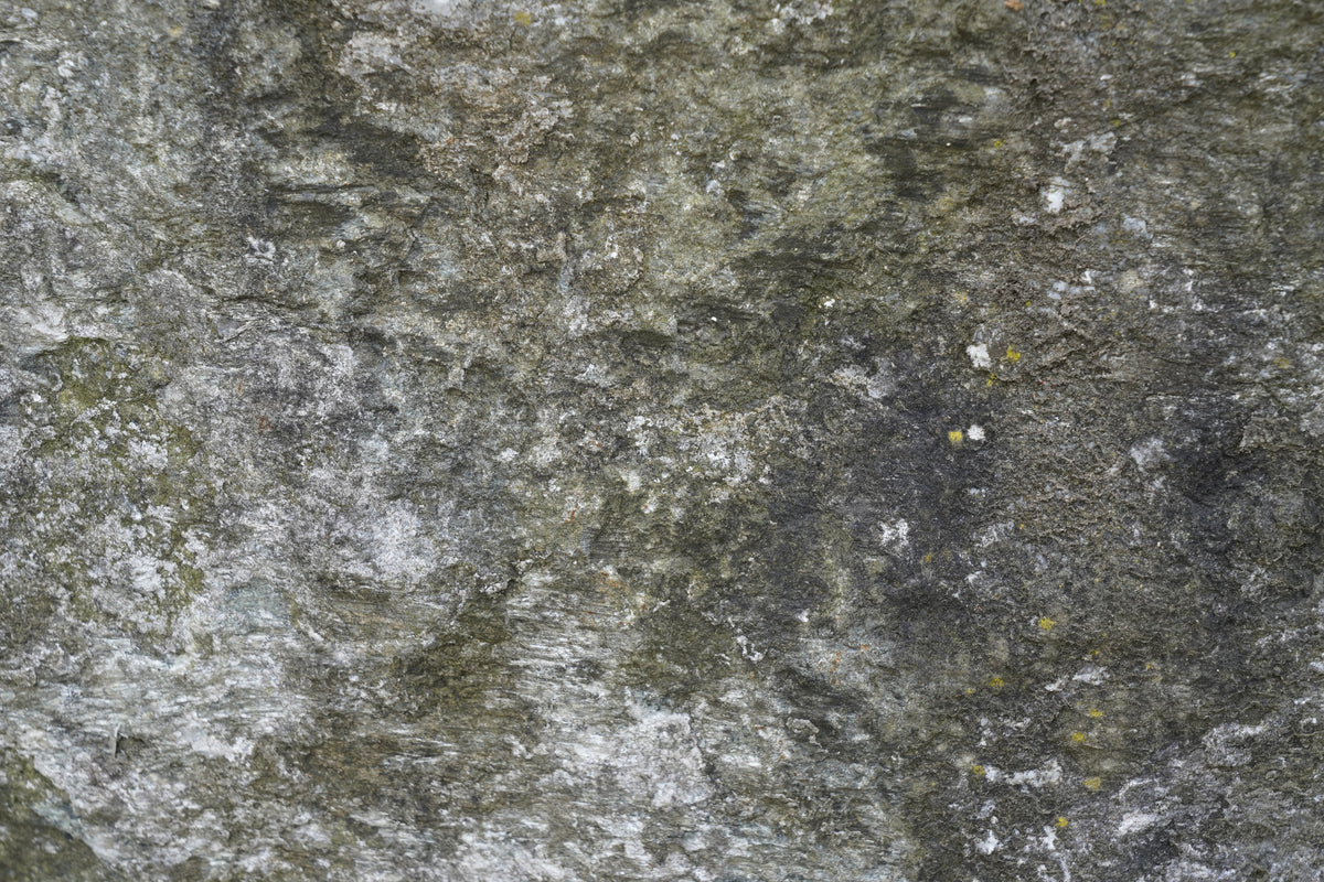 photo-wallpaper-mossy-rock-texture
