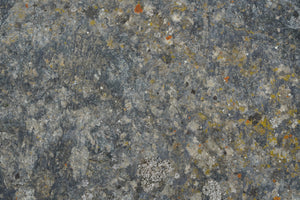 photo-wallpaper-lichen-covered-rock