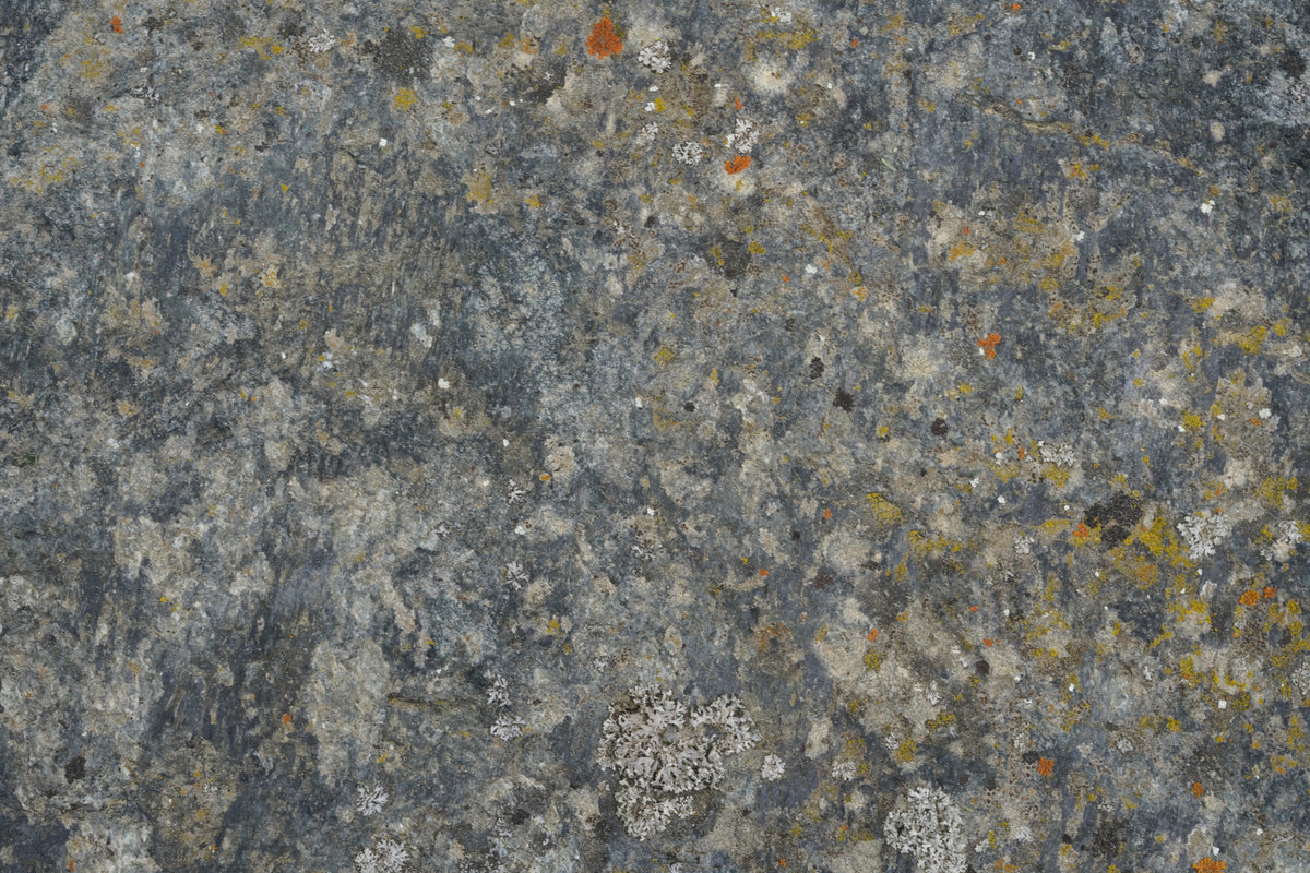 photo-wallpaper-lichen-covered-rock