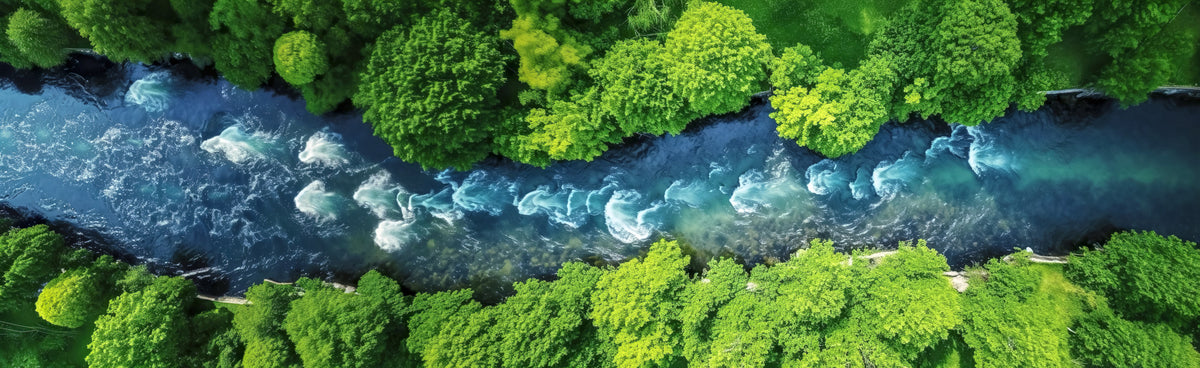 photo-wallpaper-turquoise-river-winding-between-lush-green-treetops-from-above