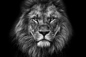 photo-wallpaper-king-face-bw