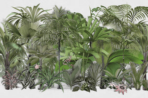 photo-wallpaper-lush-tropical-jungle-2