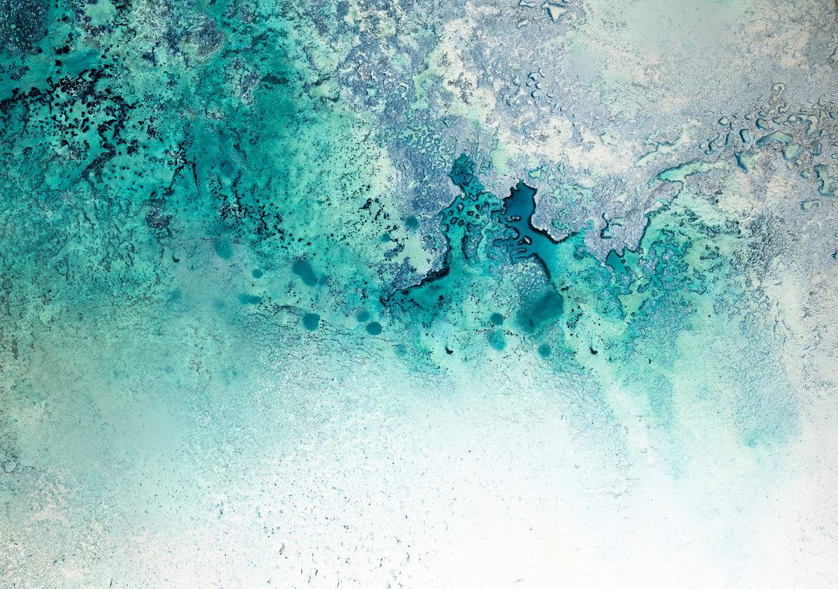 photo-wallpaper-turquoise-whispering