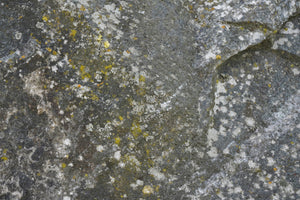 photo-wallpaper-lichen-covered-rock-texture