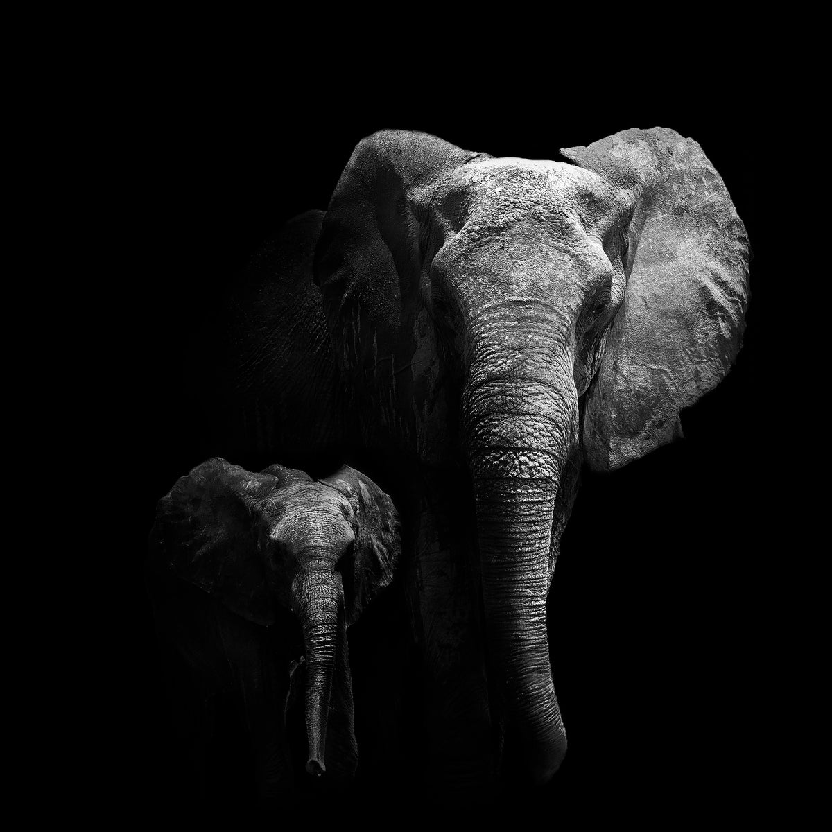 photo-wallpaper-mother-and-child-x