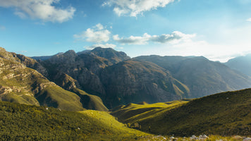 photo-wallpaper-beautiful-jonkershoek-nature-reserve