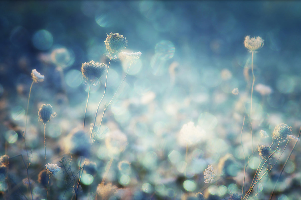 photo-wallpaper-diamonds-x