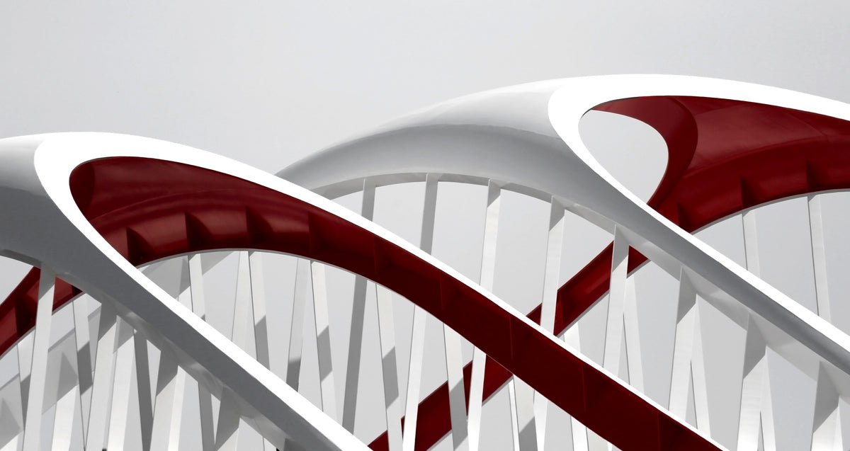 photo-wallpaper-sleek-red-white-curves