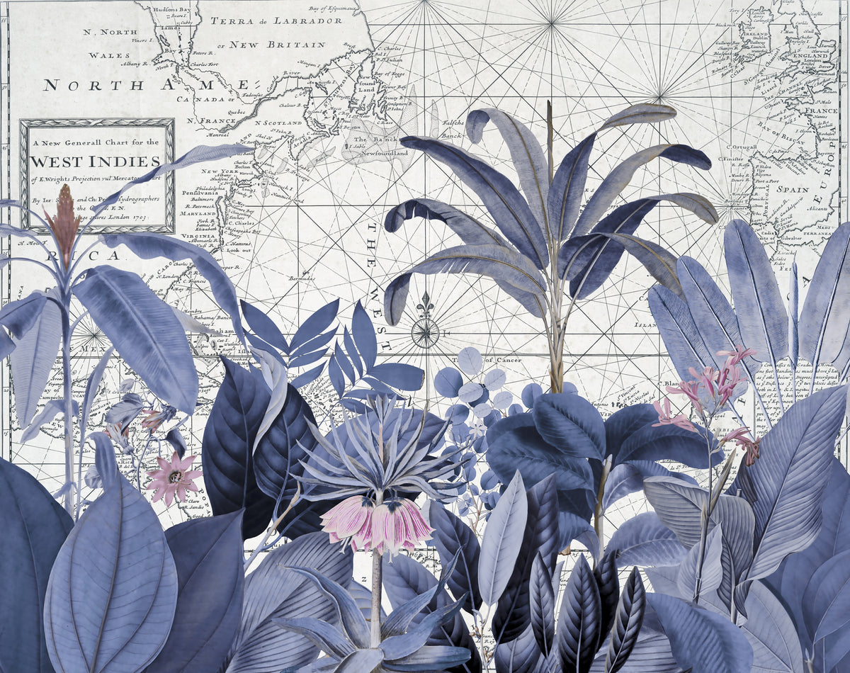 photo-wallpaper-blue-tropical-map