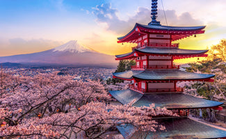 photo-wallpaper-japan-in-cherry-blossom-spring