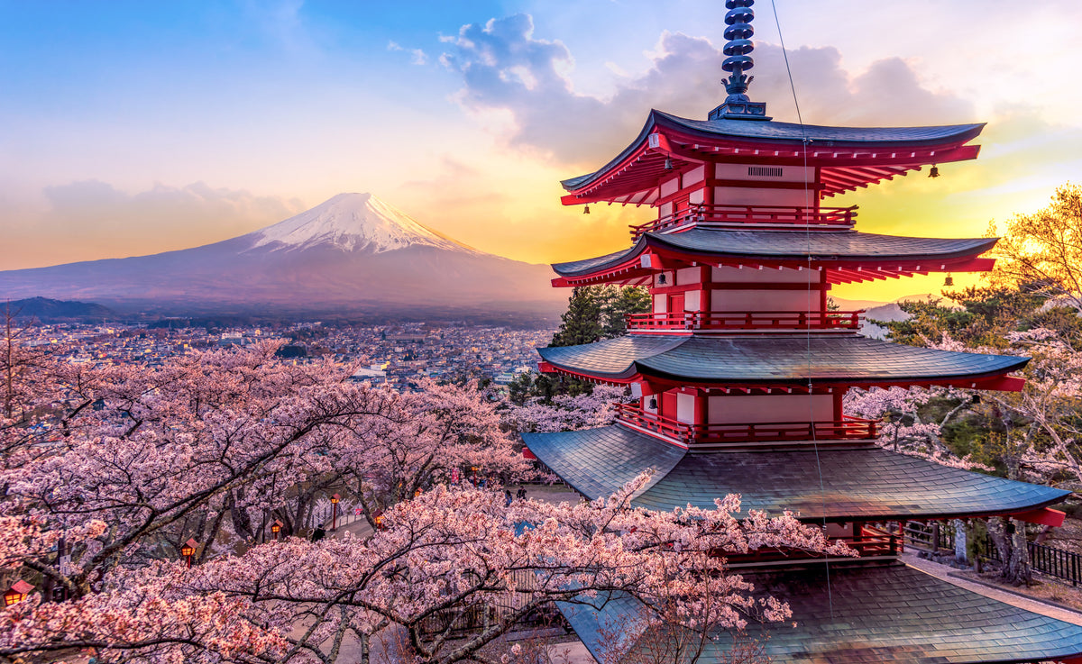 photo-wallpaper-japan-in-cherry-blossom-spring