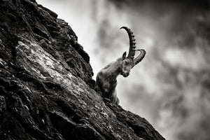 photo-wallpaper-mountain-top-acrobat