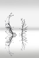 photo-wallpaper-dreamland-03-x