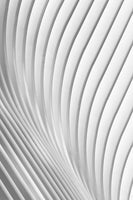 photo-wallpaper-calatrava-lines-x