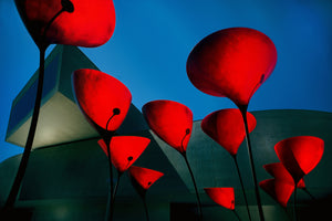 photo-wallpaper-maxxi-museum-x
