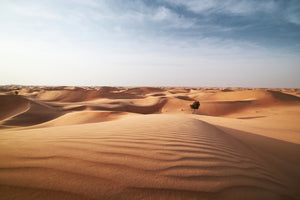 photo-wallpaper-sand-dunes-in-desert-landscape