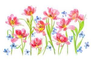 photo-wallpaper-spring-delight-x