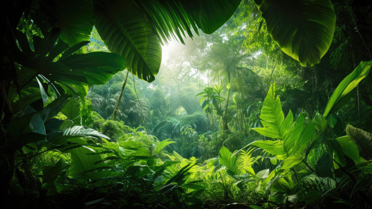 photo-wallpaper-beautiful-green-tropical-jungle-for-natural-background