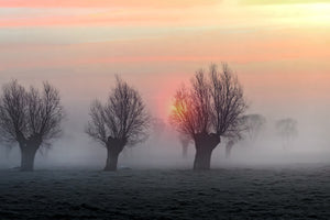 photo-wallpaper-the-shadow-of-time