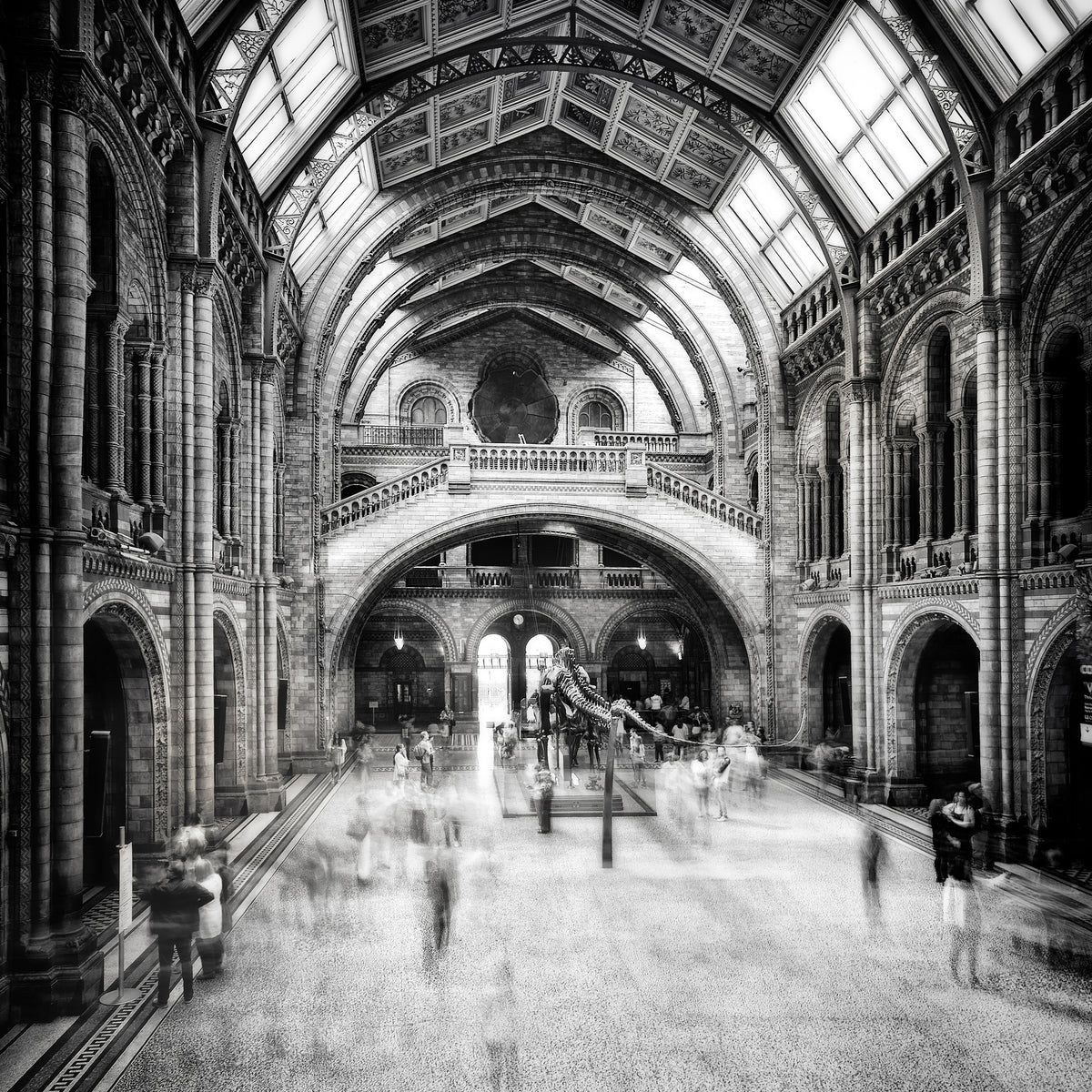 photo-wallpaper-natural-history-museum-of-london-x