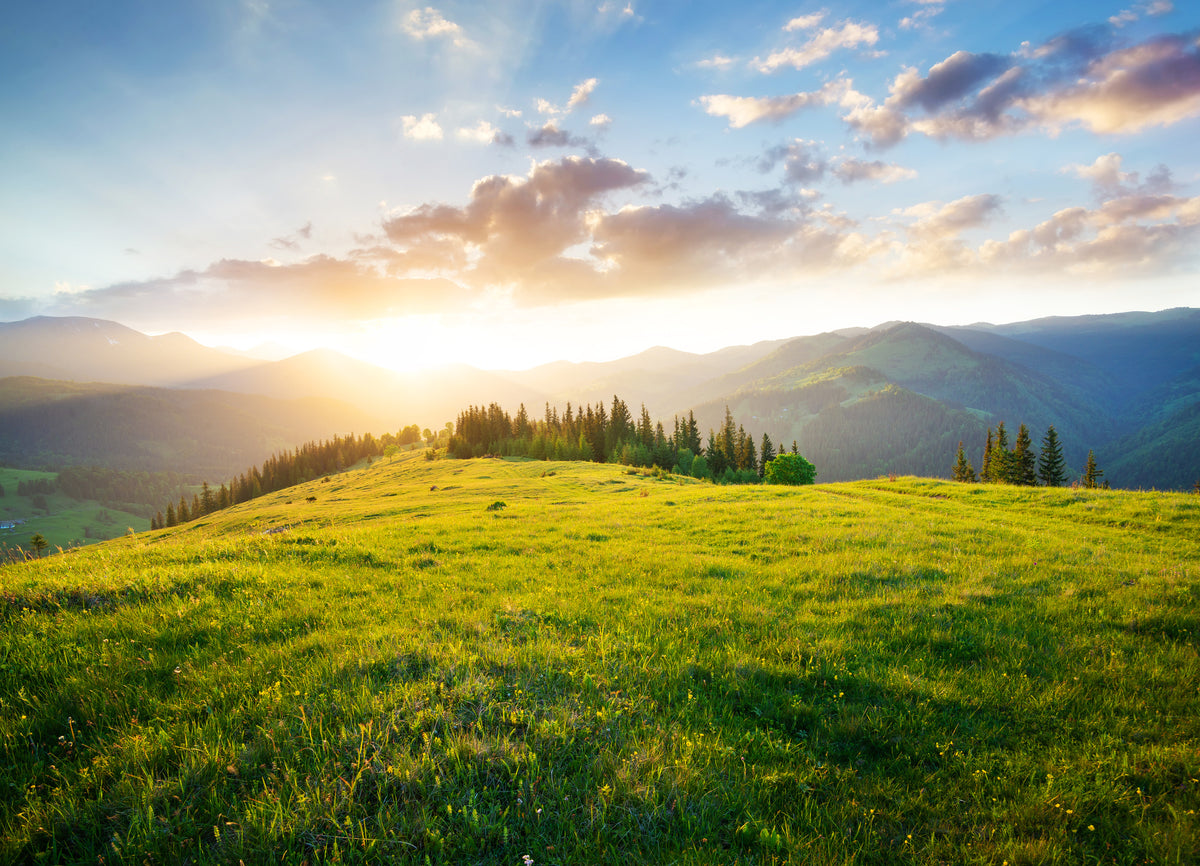 photo-wallpaper-sunset-in-the-mountain-valley-beautiful-natural-landscape-in-the-summer-time