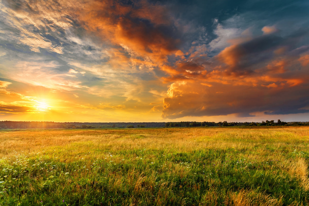 photo-wallpaper-wide-summer-meadow-under-glowing-clouds-at-sunset