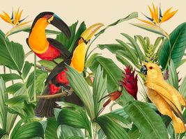 photo-wallpaper-exotic-rainforest-birds