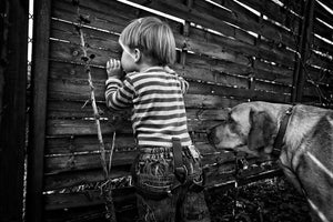 photo-wallpaper-the-world-from-behind-the-fence-x