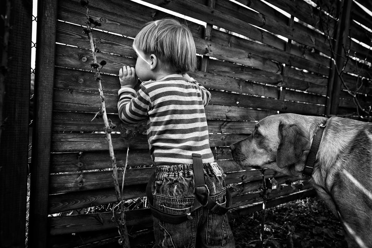 photo-wallpaper-the-world-from-behind-the-fence-x