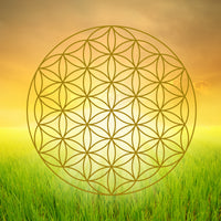 photo-wallpaper-flower-of-life-in-the-shining-field