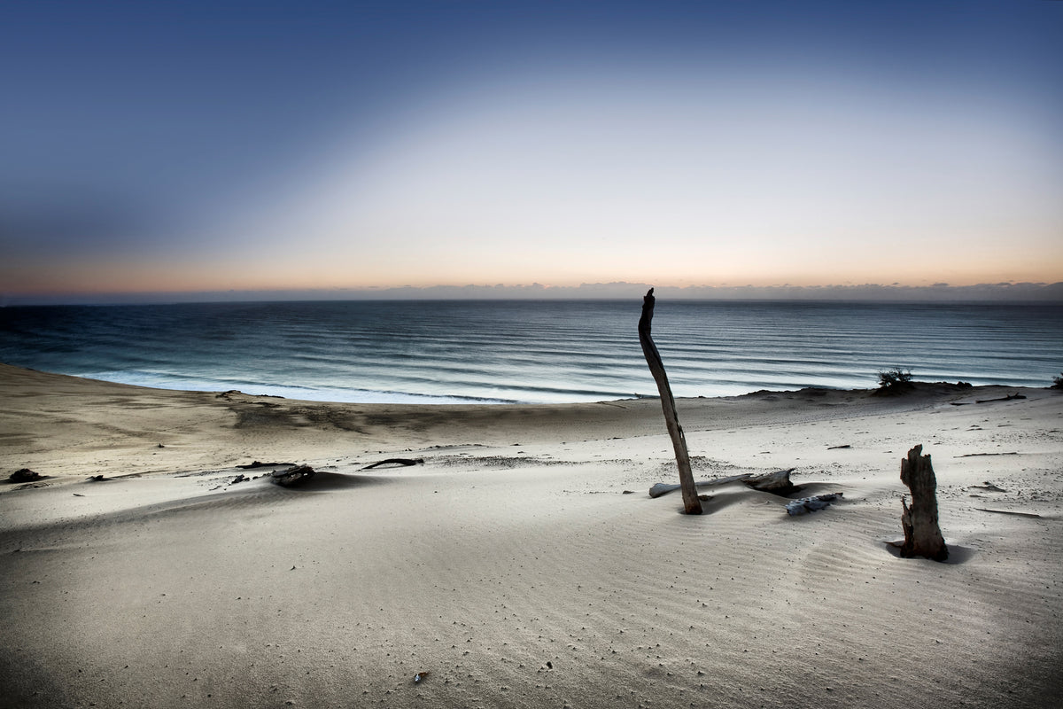 photo-wallpaper-reach-for-the-sun-x