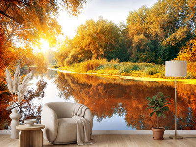 photo-wallpaper-forest-reflection-in-water