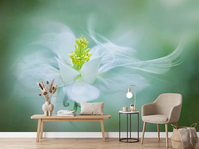 photo-wallpaper-mystical-xvs