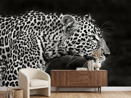 photo-wallpaper-leopard-close-up-x